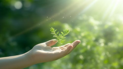 環境・社会課題への取り組みのイメージ画像