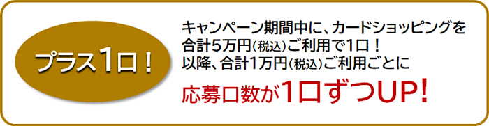 プラス1口!
キャンペーン期間中に、カードショッピングを合計5万円（税込）ご利用で1口！
以降、合計1万円（税込）ご利用ごとに応募口数が1口ずつUP！